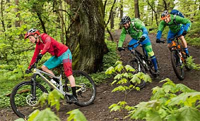 Aparca bicicletas soporte bici Forest