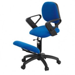 Silla ergonómica con respaldo, apoyabrazos y ruedas Ecopostural S2606