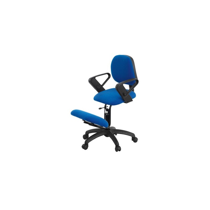 Silla ergonómica con respaldo, apoyabrazos y ruedas Ecopostural S2606