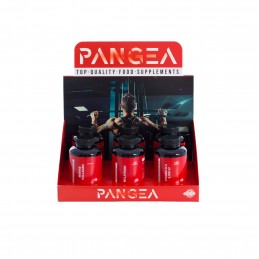 PANGEA EXPOSITOR