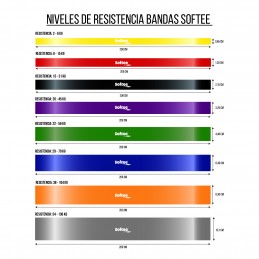 BANDA DE RESISTENCIA