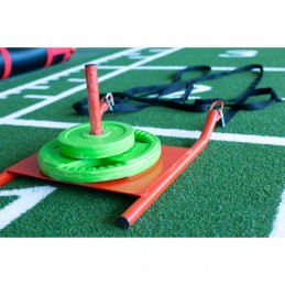 Trineo entrenamiento