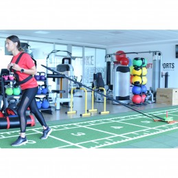 Trineo entrenamiento