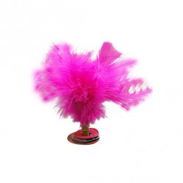 Lote 10 indiakas fútbol pluma fashion